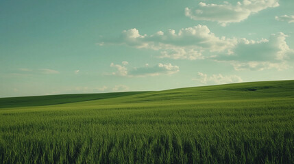 Obraz premium landscape view of green field scenery with blue sky for background