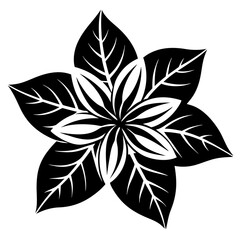 black and white flower