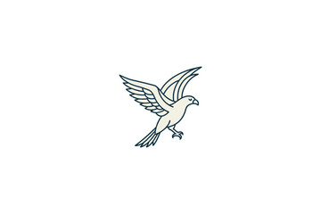 Eagle flying, eagle head, eagle logo, eagle line art
