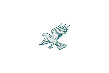 Eagle flying, eagle head, eagle logo, eagle line art