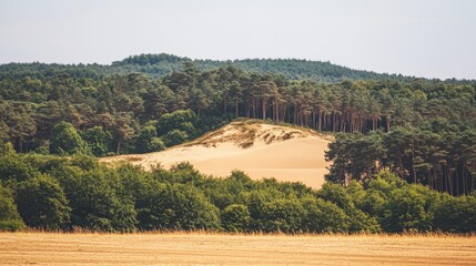 Serene Dunes Surrounded by Lush Forests