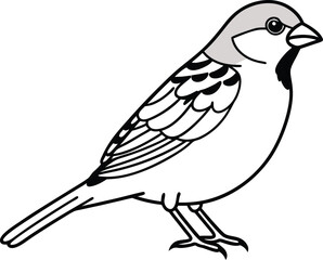 Fototapeta premium illustration of a bird Simple Vector Outline