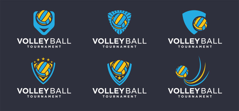 Volleyball sports logo design, club logo, league matches, volleyball sports tournaments.