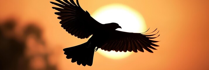 Fototapeta premium A bird in silhouette flies before the sun, wings expanded