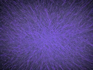 Fototapeta premium abstract background with lines,background with blue and purple colors,abstract background