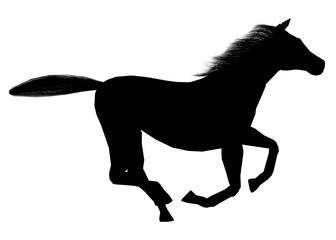 Drawing the silhouette of running horse. Vector illustration