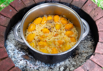 Traditional Brazilian dish chicken with pequi (caryocar brasiliense) and rice