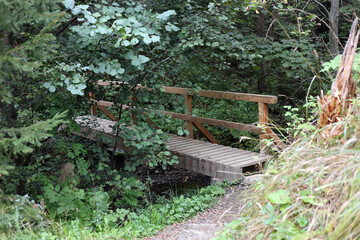 Wooden bridge on the hiking trail from Tatranska Matliare to Tatranska Lomnica in the High Tatras, Slovakia. 
