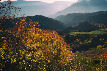 Autumn in the mountains