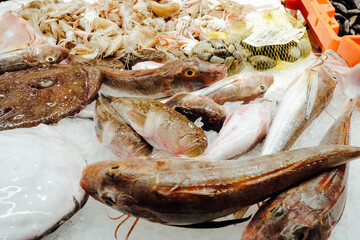 Fresh Seafood Display Featuring Fish, Shellfish, and Crustaceans at a Local Market on Ice