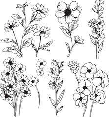 Flowers, plants set silhouette isolated vector