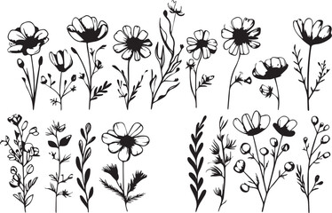 Flowers, plants set silhouette isolated vector