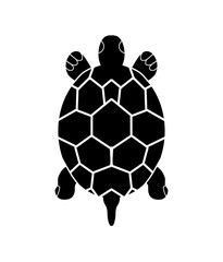 Fototapeta premium icon tutle