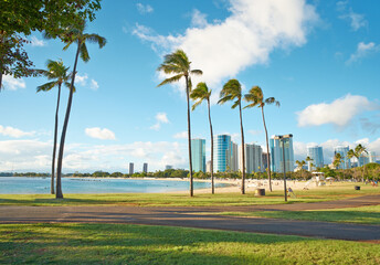 Landscape, palm tree and building with beach and ocean for environment, travel destination and tropical. Summer vacation, water and sand with sea at Miami for coastline, holiday and paradise tourism