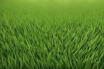 Obraz premium green grass 