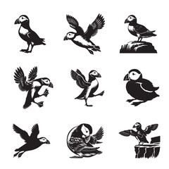 Obraz premium Collection of Atlantic puffin Vector illustration - Atlantic puffin Bird Silhouette Design