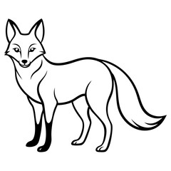 fox cartoon isolated on white