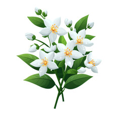 Fototapeta premium Beautiful white flowers with green leaves create fresh and vibrant look, perfect for adding touch of nature to any design. delicate petals and bright yellow centers enhance overall appeal. 
