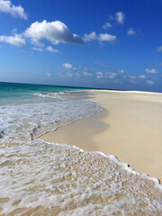 Obraz premium Ocean Waves on Manchebo Beach Aruba