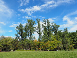 初秋の公園風景