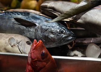 Fish market