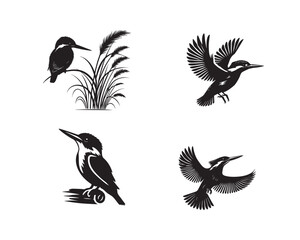 Fototapeta premium Collection of Common kingfisher Vector illustration - Common kingfisher Bird Silhouette Design 