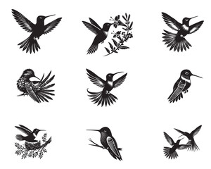 Obraz premium Collection of Costa's Hummingbird silhouette design, Hummingbird Vector illustration in black and white