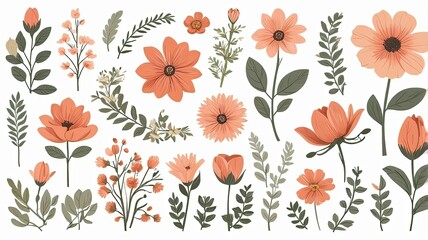 abstract pattern flower boho vector transparent background