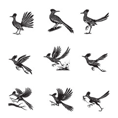 Obraz premium Set of Greater Roadrunner silhouettes Design - Greater Roadrunner Vector illustration 