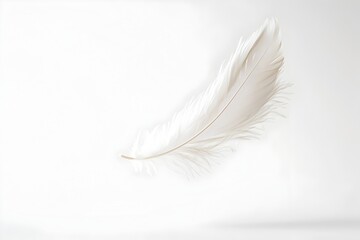Delicate Feather Floating in Midair on White Background Symbolizing Lightness and Grace