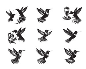 Obraz premium Collection of Hummingbird Clipart design, Hummingbird Vector illustration in black and white 