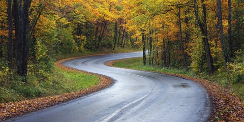 Fototapeta premium Curved road meandering through an autumn forest with bright orange and yellow leaves