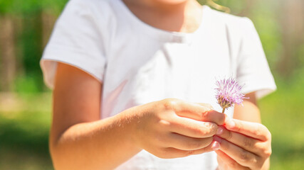 Child girl walking in park outdoor enjoying summer flowers family lifestyle vacations kid 4 years old. portrait little girl in harmony with nature