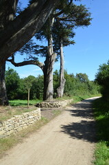 Locmariaquer (Morbihan - Bretagne - France)