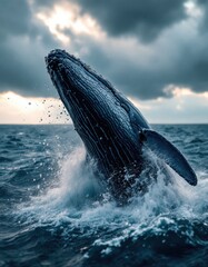 Fototapeta premium The whale is a large marine mammal