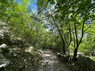 Mountaineering and recreational trails in the Velika Paklenica canyon, Starigrad (Paklenica...