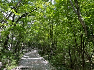 Mountaineering and recreational trails in the Velika Paklenica canyon, Starigrad (Paklenica...