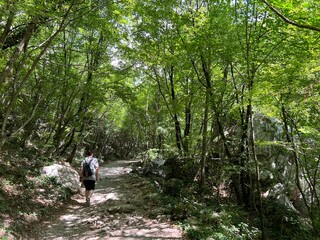 Mountaineering and recreational trails in the Velika Paklenica canyon, Starigrad (Paklenica National Park, Croatia) - Bergsteiger in der Schlucht Velika Paklenica, Starigrad (Nationalpark Paklenica)