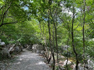 Mountaineering and recreational trails in the Velika Paklenica canyon, Starigrad (Paklenica...