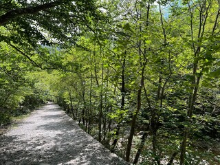 Mountaineering and recreational trails in the Velika Paklenica canyon, Starigrad (Paklenica National Park, Croatia) - Bergsteiger in der Schlucht Velika Paklenica, Starigrad (Nationalpark Paklenica)