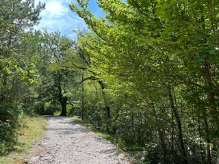 Mountaineering and recreational trails in the Velika Paklenica canyon, Starigrad (Paklenica National Park, Croatia) - Bergsteiger in der Schlucht Velika Paklenica, Starigrad (Nationalpark Paklenica)