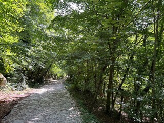 Mountaineering and recreational trails in the Velika Paklenica canyon, Starigrad (Paklenica...