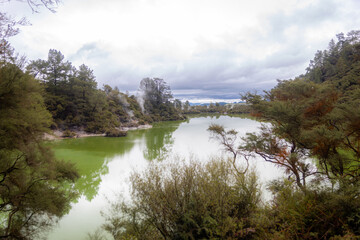 Geothermal lake reflecting trees and cloudy sky in waiotapu, new zealand