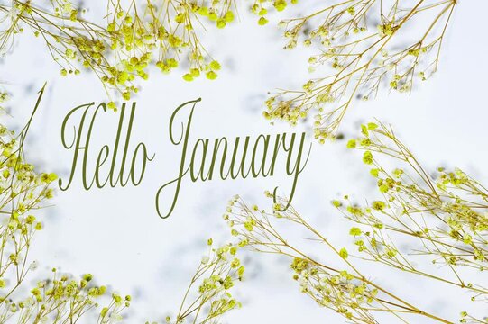 Yellow and white baby's breath, gypsophila dry flowers with hello january on white background . flat lay, top view, copy space