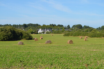 Locmariaquer (Morbihan - Bretagne - France)