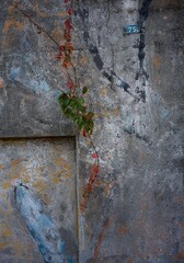 viaggio nel centro Italia