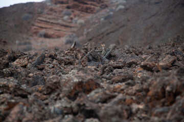 Sharp volcanic rocks forming arid landscape with shallow depth of field