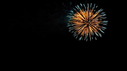Colorful Firework Burst in the Night Sky