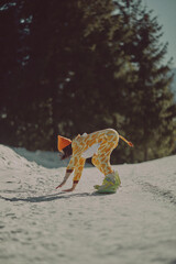  A girl with a snowboard in her hands against the backdrop of snowy mountains