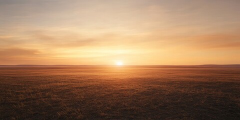 Naklejka premium Stunning sunset over a vast open field, creating a serene and peaceful atmosphere.